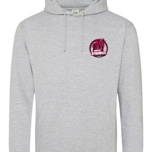 Embroidered Invicta Dynamics Grey Hoodie