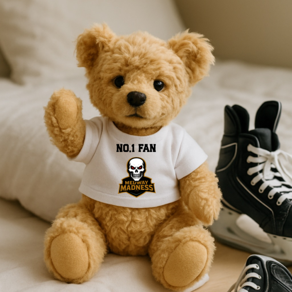 Medway Madness No.1 Fan Bear
